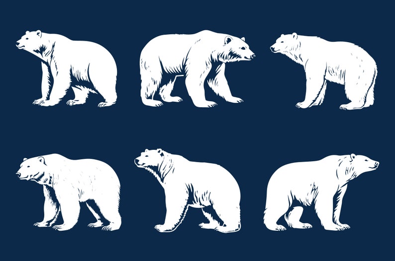 6 Polar Bear Svg Vector Clipart Bundle, Transparent Background, Instant