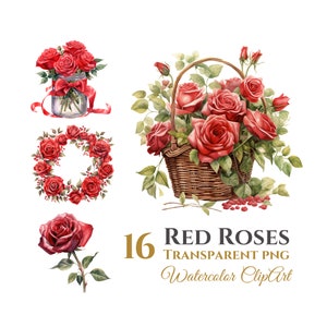 16 Watercolor Red Roses Floral Clipart Bundle, Digital Download PNG Files, Transparent Background, For Commercial Use