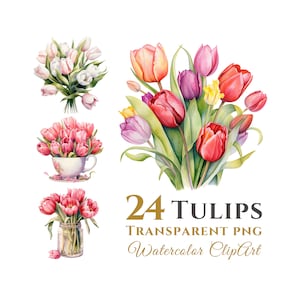 24 Tulpe Blumen Aquarell Clipart Bundle, transparenter Hintergrund PNG-Dateien, digitaler Download, für kommerzielle Nutzung