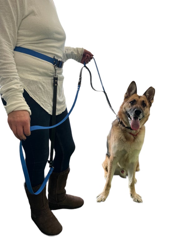 Dog Belt German Shepherd Neck Belt Buy Waterproof Hands-free Dog - Main Image