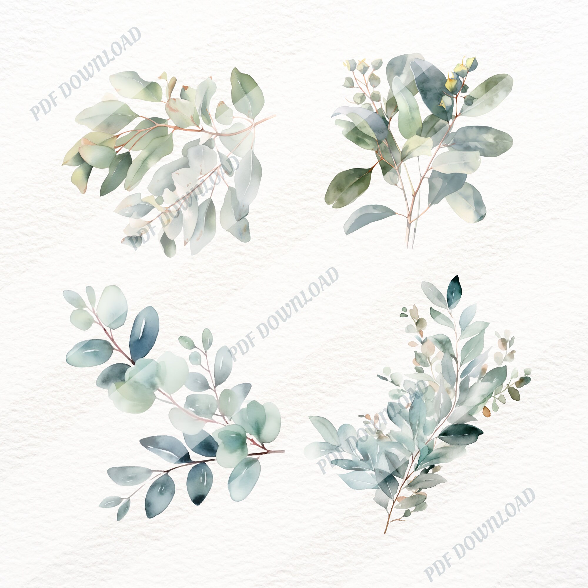 Watercolor Eucalyptus Leaves Clipart Greenery Set Branch - Etsy