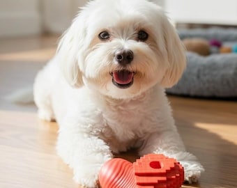 Sanddog Heart Art Natural Dog Chew Toy