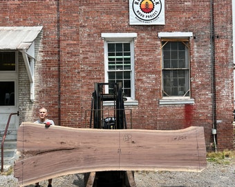 Live Edge Black Walnut Slab Kiln Dried, Flattened, and Sanded 150” x 48” x 2.5”