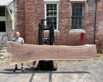 Live Edge Black Walnut Kiln Dried Slab Flattened and Sanded to 120