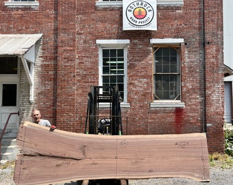 Live Edge Black Walnut Kiln Dried Slab, Flattened and Sanded 150” x 48” x 2.25”