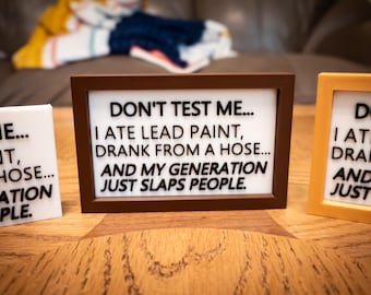 Funny Desk Sign — "Don't Test Me" Lead Paint Gen X Humor Sign