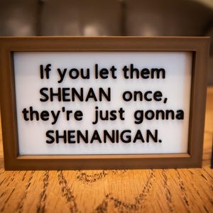 May include: A framed sign with the text "If you let them SHENAN once, they're just gonna SHENANIGAN." The sign has a brown frame and a white background. The text is in black.