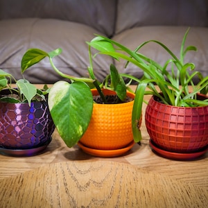 Textured Planter 4"/6" (Plant not included)