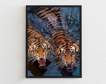 Tiger Digital Download Poster, Vintage Artist Album Cover Wall Art