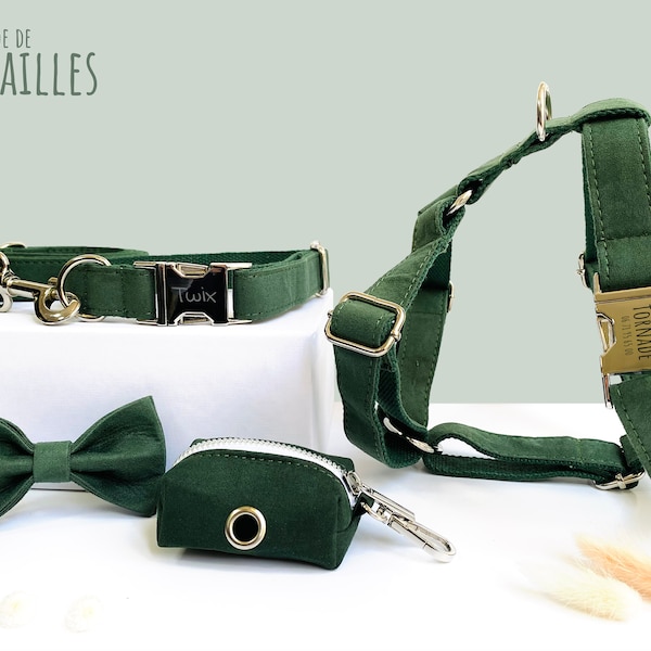 Ensemble chien chiot personnalisé / Velours Vert Sapin / Cadeau prénom animaux / Harnais Laisse Collier Sac à crottes Nœud Papillon