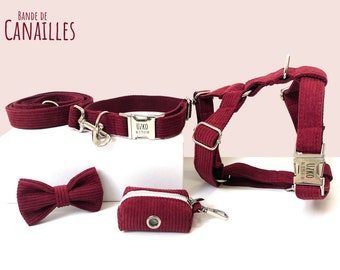 Ensemble chien chiot personnalisé/ Velours Côtelé Bordeaux/ Cadeau prénom animaux gravé/ Harnais Laisse Collier Sac à crottes Nœud Papillon