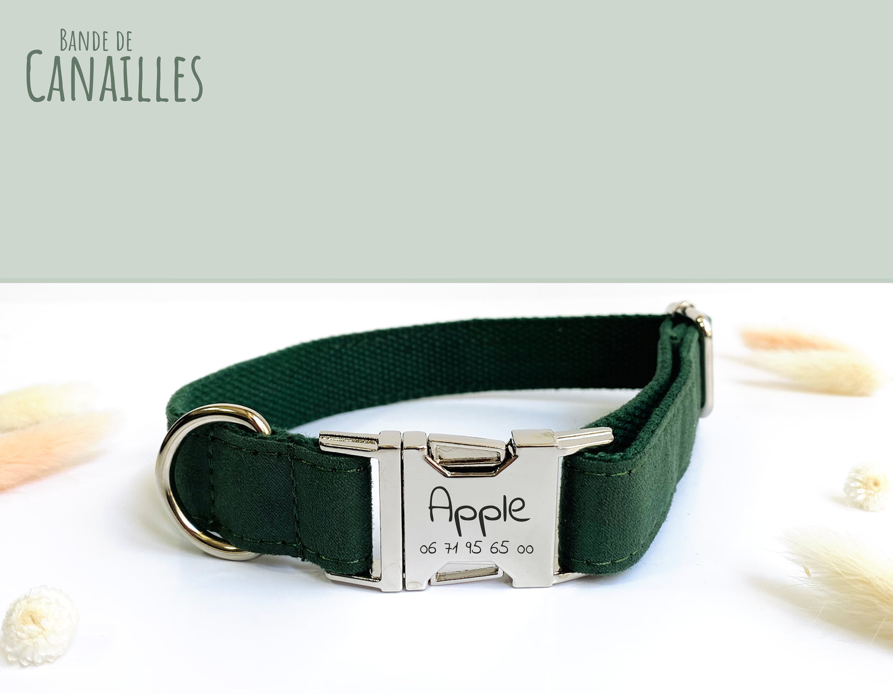 Dark green dog collar hotsell