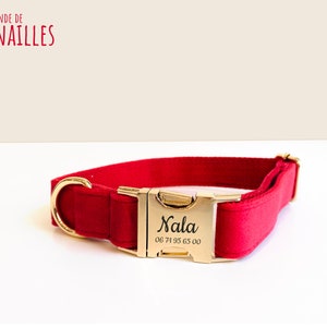 Personalized Puppy Dog Collar Red Smooth Velvet / Pet Gift Harness Leash Accessory / First Name Engraving Clothing Set