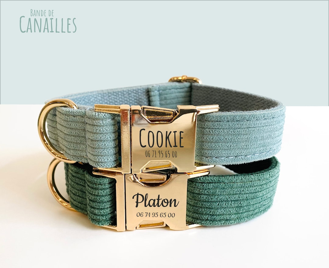 Collier chien chiot personnalisé / Velours côtelé / Cadeau prénom