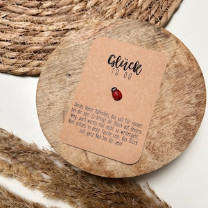 Pocket Produkt Marienkäfer | Glück to go | Taschen Umarmung | Glück für die Tasche | Glücksbringer | Geschenk | Mitbringsel | Pocket Ladybug