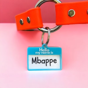 Adorable Dog Name Tag