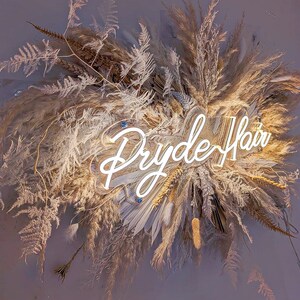May include: A decorative arrangement of dried grasses and foliage, including pampas grass and ferns, in shades of beige and brown. A neon sign that reads "Dryde Hair" is centered within the arrangement, illuminated in white.