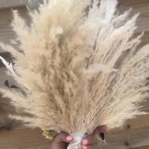 May include: A bouquet of dried pampas grass in shades of beige and cream. The fluffy plumes are tied together with a white ribbon and held in a hand with pink nail polish. The background is a wooden surface.