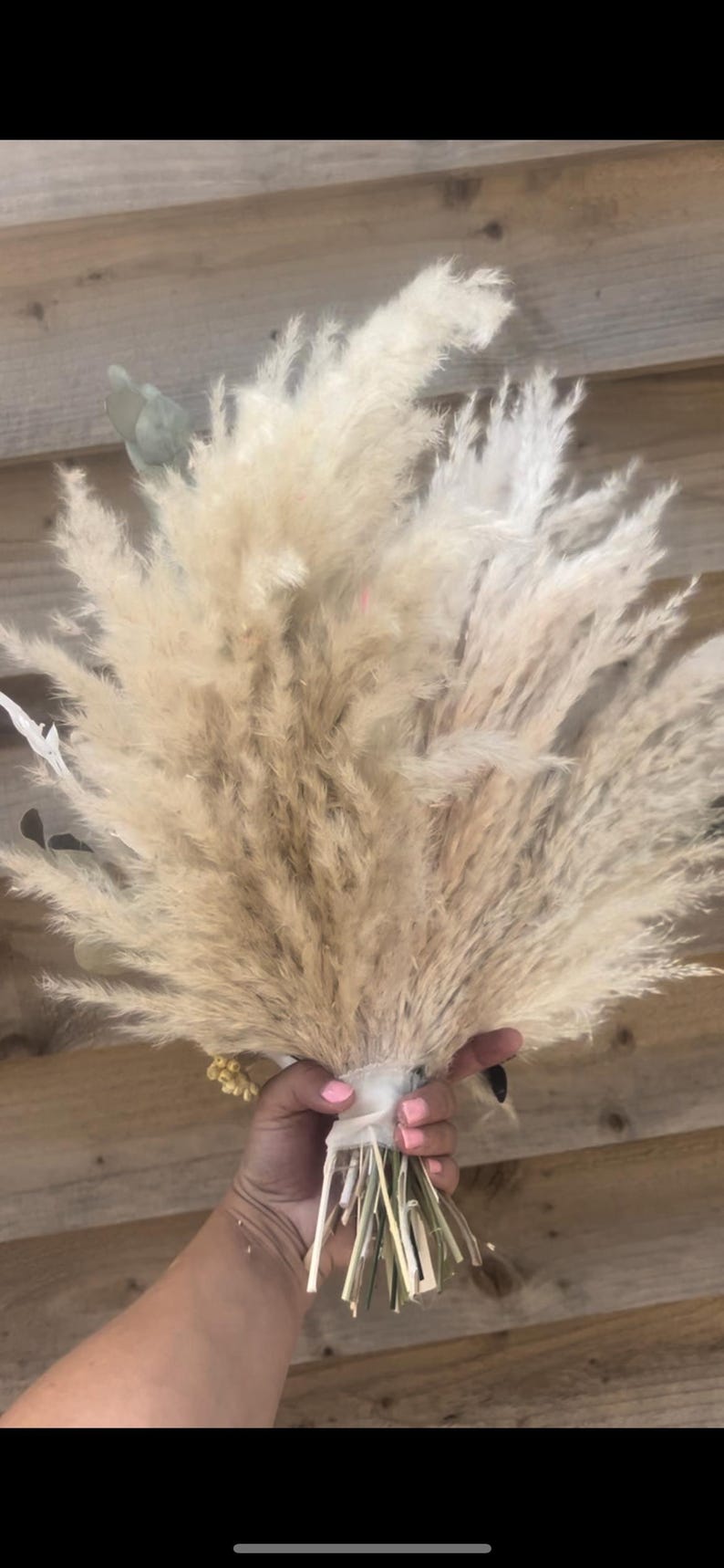 May include: A bouquet of dried pampas grass in shades of beige and cream. The fluffy plumes are tied together with a white ribbon and held in a hand with pink nail polish. The background is a wooden surface.