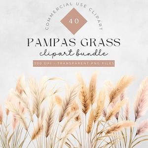 Clipart d'herbe de la pampa, aquarelle d'herbe de la pampa et bouquet de fleurs, Clipart floral bohème, Clipart de la pampa, Clipart floral neutre mariage floral