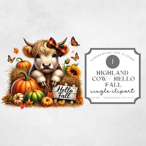 Pacote de clipart de vaca das terras altas de outono em aquarela, PNG, filhote de animal, abóboras, folhas, maçãs, olá outono, cachecol xadrez, laranja, fazenda, fofo