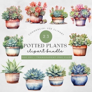 Clipart de acuarela de suculentas en maceta / Descarga digital botánica Manualidad de papel / PNG / Plantas florales coloridas, mamá de plantas