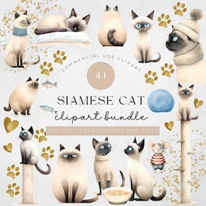 Siamese Cat Clipart Cat Breed Clipart Cat Lovers PNG Cartoon Cat Clipart Cute Animal PNG Playing Cat | Commercial Use Clipart Transparent