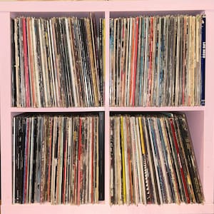 May include: A pink bookshelf with four shelves filled with vinyl records. The records are organized by color and genre. The top shelf has a record with the text "Lou Reed" on the spine.
