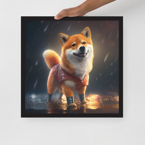 Shiba Inu in the rain with boots on - Framed poster