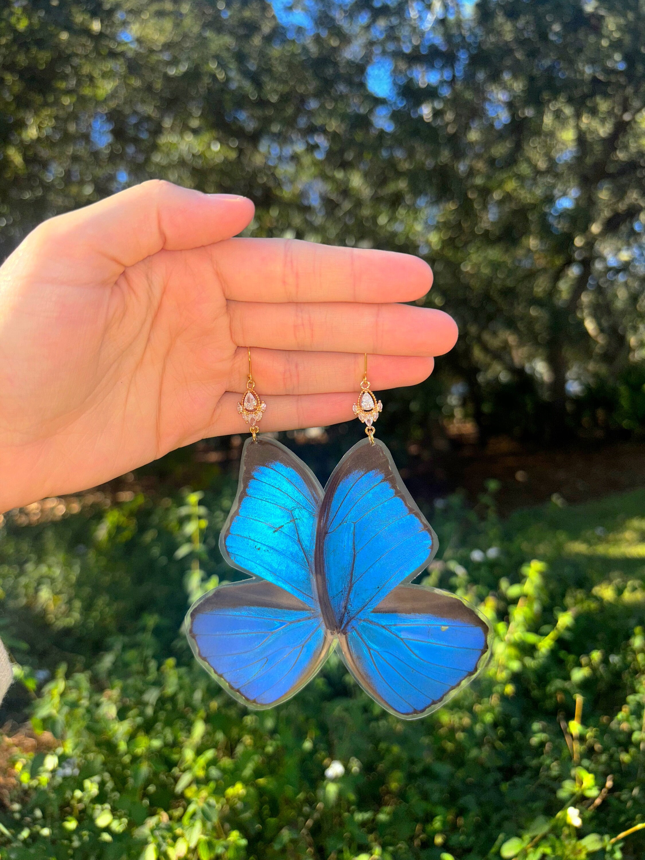 Entire Full Blue Morpho Butterfly Earrings Etsy