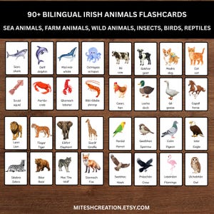 Puede incluir: Un conjunto de más de 90 tarjetas educativas bilingües de animales en irlandés e inglés con ilustraciones de especies marinas, de granja, salvajes, insectos, aves y reptiles. Cada tarjeta muestra una imagen y el nombre. Texto: 90+ BILINGUAL IRISH ANIMALS FLASHCARDS.