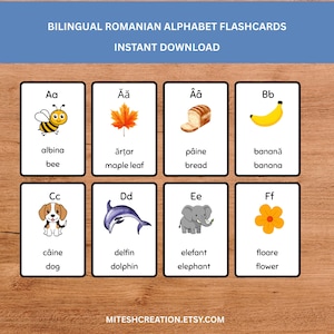 May include: Bilingual Romanian alphabet flashcards with illustrations. Each card features a letter, a word in Romanian, and its English translation. Includes images of a bee, maple leaf, bread, banana, dog, dolphin, elephant, and flower.