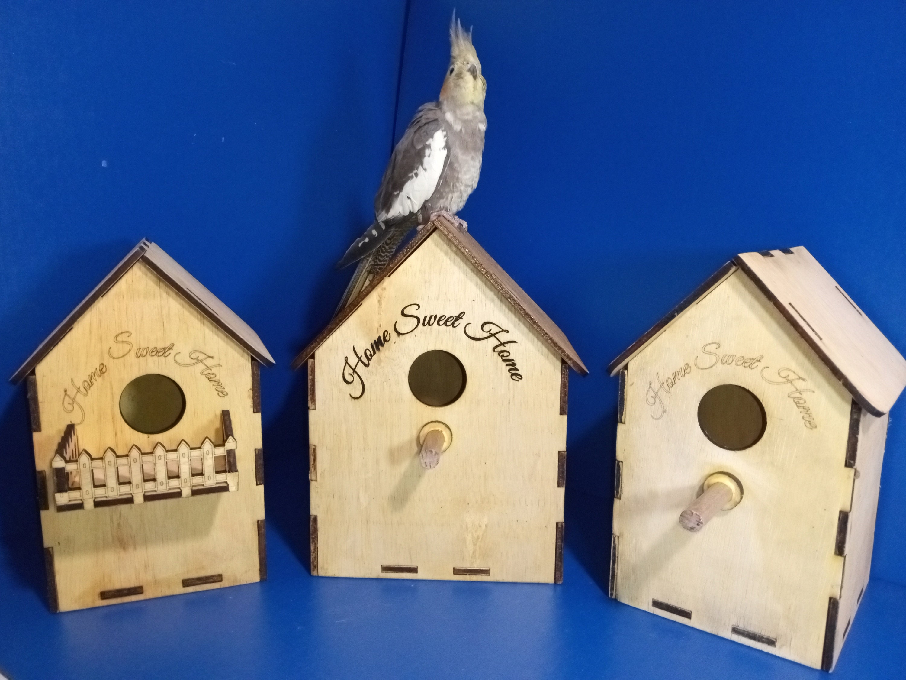 Bird Box X 3 Types of House Svg, Lightburn, Spring, Nesting Box, Bird Nesting Box, Baby Birds