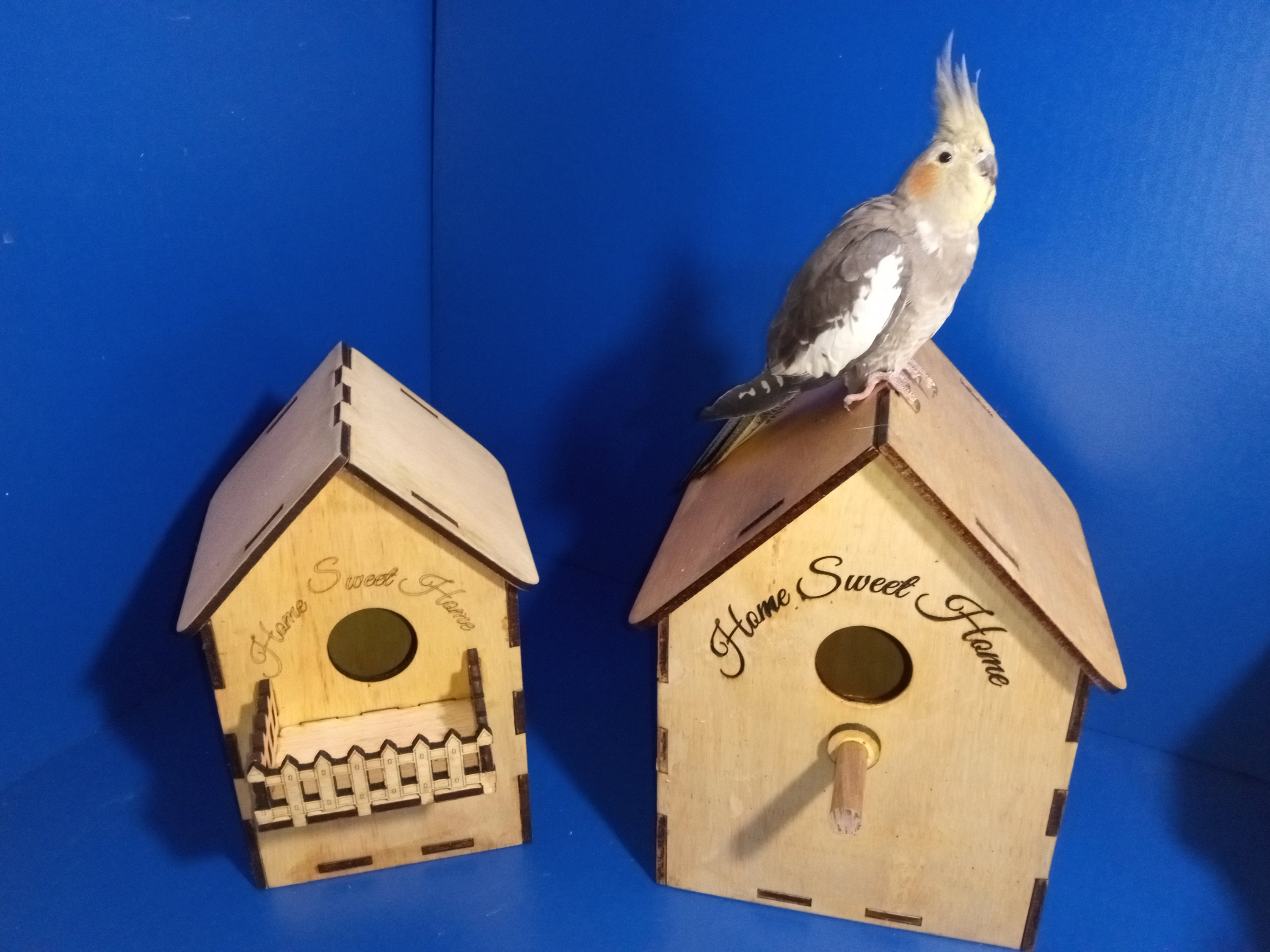 Bird Box X 3 Types of House Svg Lightburn Spring Nesting Etsy UK
