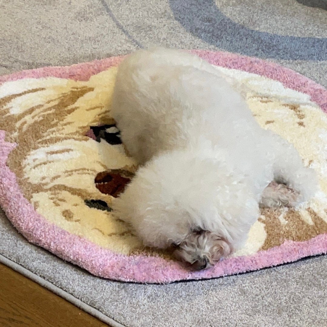 Tufted Handmade Animal Paw Print Rug Preorder 0.5-5 Feet, Pet Gift, Pet  Lover Gifts, Personalized Gift, Pet Decor, Rug, Carpet, Handmade 