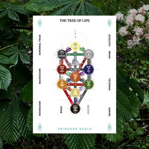 The Tree of Life Princess Scale (White Background)