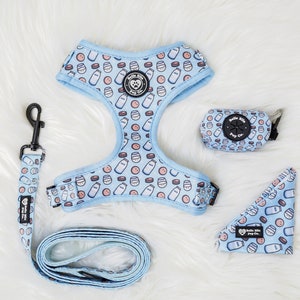 Cute boy dog harness hotsell