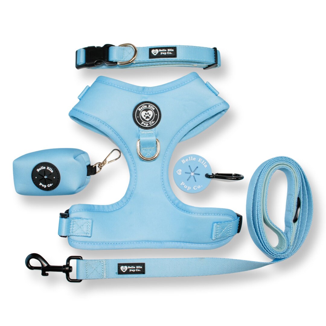 Blue Dog Harness, Boy Dog Harness, Adjustable Dog Harness, Matching Dog Harness Set, Extended