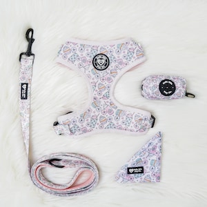 Pink Print Dog Harness, Dog Harness, Adjustable Dog Harness, Pink Dog Harness, Girl Dog Harness, Matching Dog Harness Set