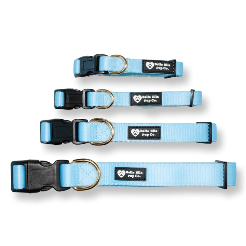 Peut inclure: Quatre colliers pour chien bleu clair avec des boucles noires et des anneaux en D dor&eacute;s. Chaque collier a une &eacute;tiquette noire avec du texte blanc qui dit "Belle Bila Pup Co."