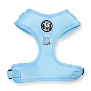 Peut inclure: Un harnais pour chien bleu clair avec un logo noir et blanc qui dit "Belle Elle Pup Co."