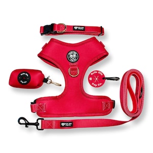 Red Dog Harness Set, Girl Dog Harness, Boy Dog Harness, Adjustable Dog Harness, Dog Accessories, Extended Dog Harness, Dog Collar, Dog Leash