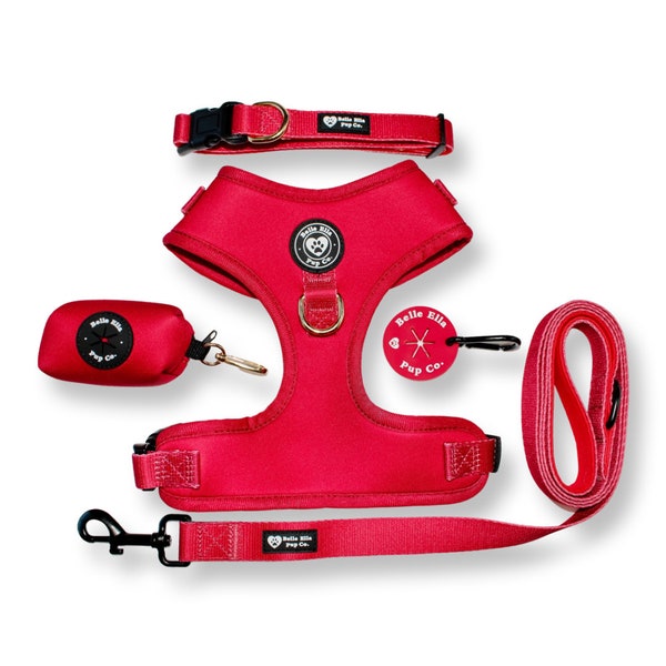 Ensemble de harnais pour chien rouge, harnais pour chien fille, harnais pour chien garçon, harnais pour chien réglable, accessoires pour chien, harnais pour chien prolongé, collier de chien, laisse de chien