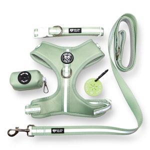 Reflektierendes Matcha Green verstellbares Geschirr, passendes Hundegeschirr-Set, erweitertes Hundegeschirr, Hundehalsband-Set, Hundegeschirr