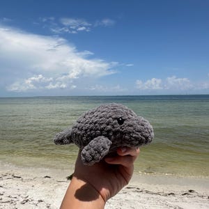 Amigurumi Manatee Plush, Manatee Crochet, Manatee Gift
