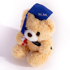 Graduation Bear, Custom Graduation Gift, Custom Bear With ...