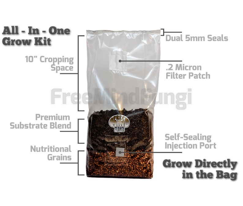 Mushroom Grow Bag Etsy