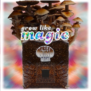 All-in-One Mushroom Grow Bag... Grow like MAGIC