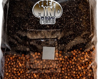 Dont Get Scammed The Real Deal On How To Grow Psilocybe Cubensis - q7bmhuy