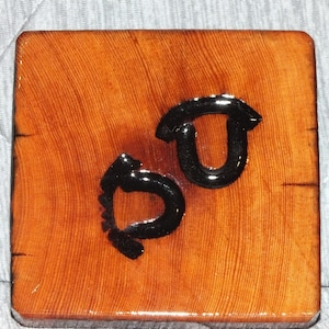 Handmade Cedar Coasters with One of a kind Acorn Nut Burned in Brand